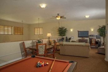 Artegan Parkview Game Room Lounge